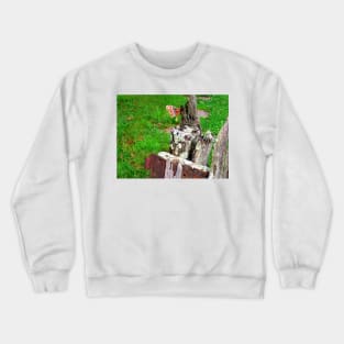 His Day Job Crewneck Sweatshirt